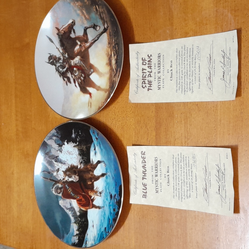 Mystic Warriors Plate Collection